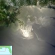 BP Oil Spill From Space