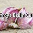 garlic_brain_cancer-263x164