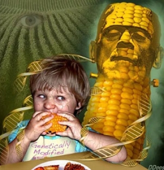 Confirmed: DNA From Genetically Modified Crops Can Be Transferred Into Humans Who Eat Them