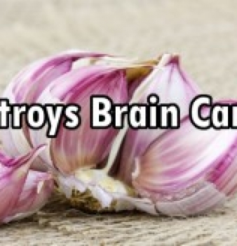 Garlic Proven to Kill Brain Cancer Cells, Prevent Future Growth