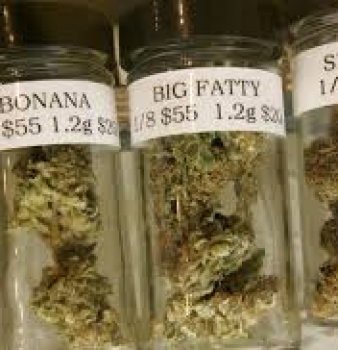 Feds Say Cannabis Is Not Medicine While Holding The Patent on Cannabis as Medicine