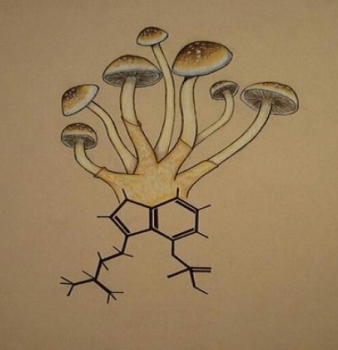 Evidence of Psilocybin “Magic Mushrooms” Growing New Brain Cells