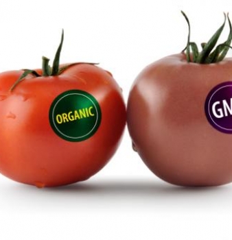 Federal Law Would Make GMO Labeling Voluntary, Preempt State Laws